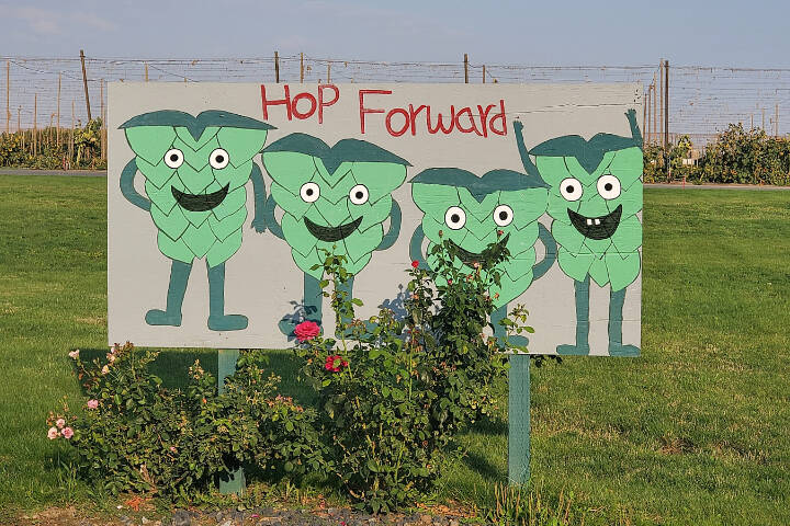 A sign celebrating the hop harvest is seen outside Carpenter Ranches hop farm in Granger. (Photo courtesy of R.J. Whitlow, owner and head brewer at 5 Rights Brewing)