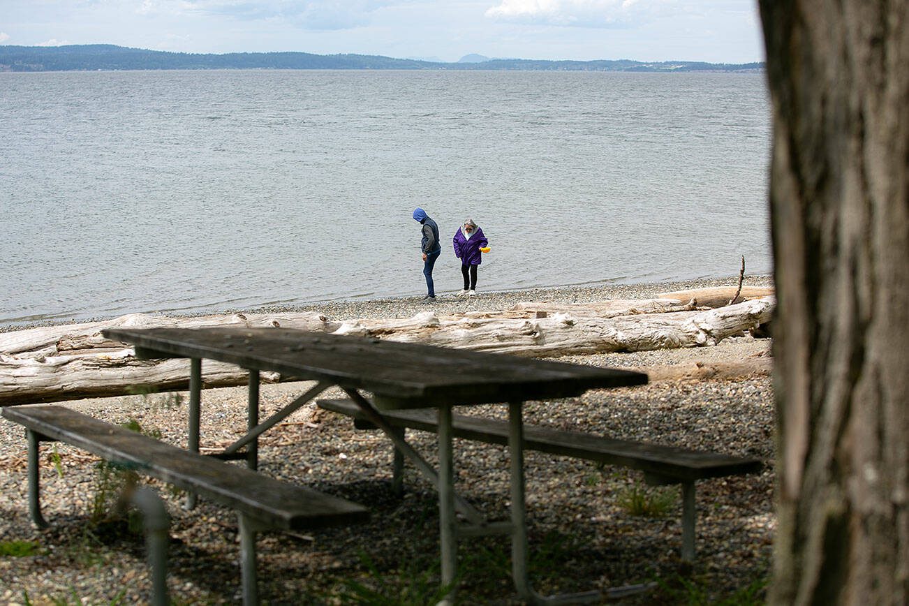 Two visitors comb the beach at Kayak Point Regional County Park on Friday, June 14, 2024, in Tulalip, Washington. (Ryan Berry / The Herald)