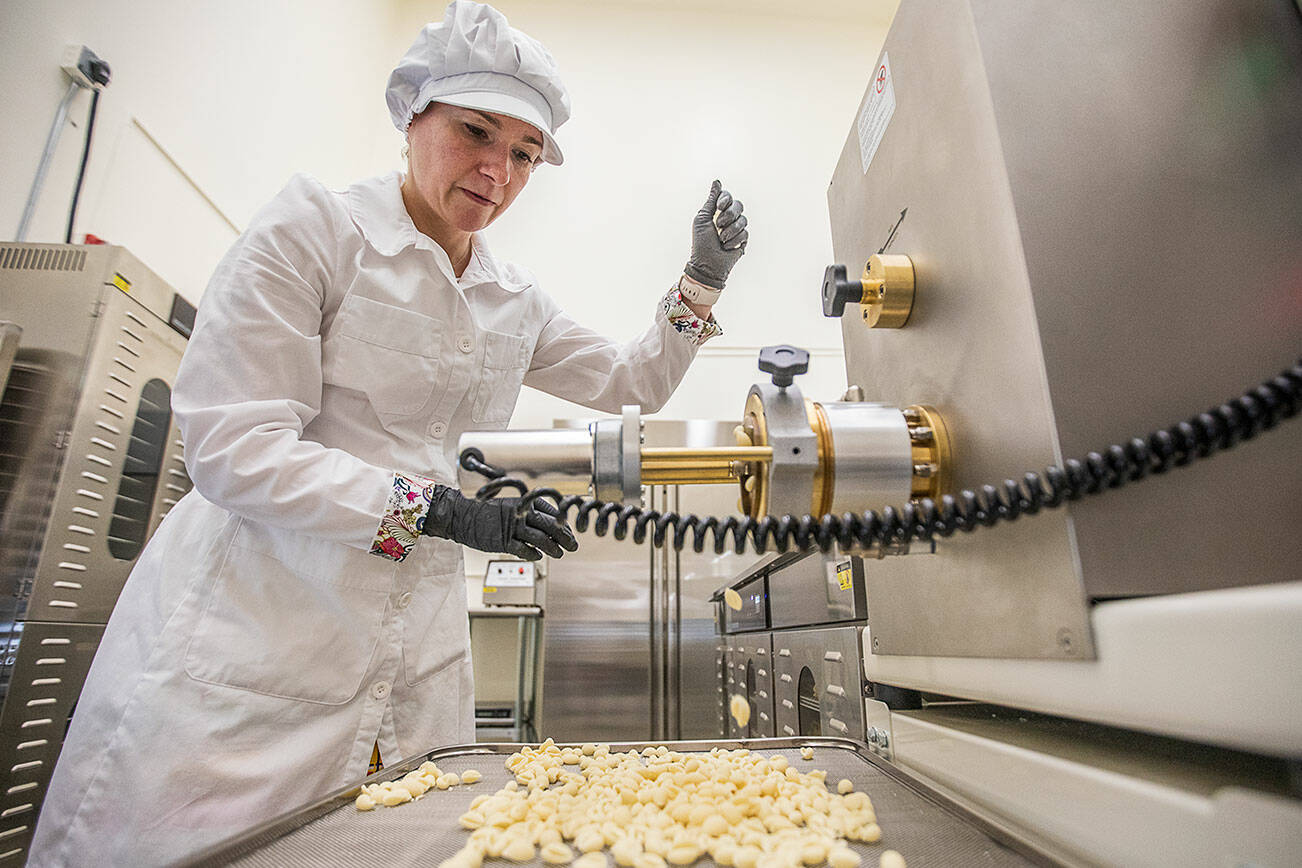 Aurora Echo, owner of Wildly Beloved Foods, begins making cavatelli pasta with one of her Bottene pasta machine on Thursday, June 27, 2024 in Clinton, Washington. (Olivia Vanni / The Herald)