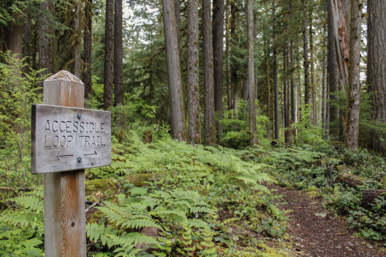 The access loop trail on the Old Sauk Trail on Monday, May 27, 2024 in Darrington, Washington. (Ta'Leah Van Sistine / The Herald)