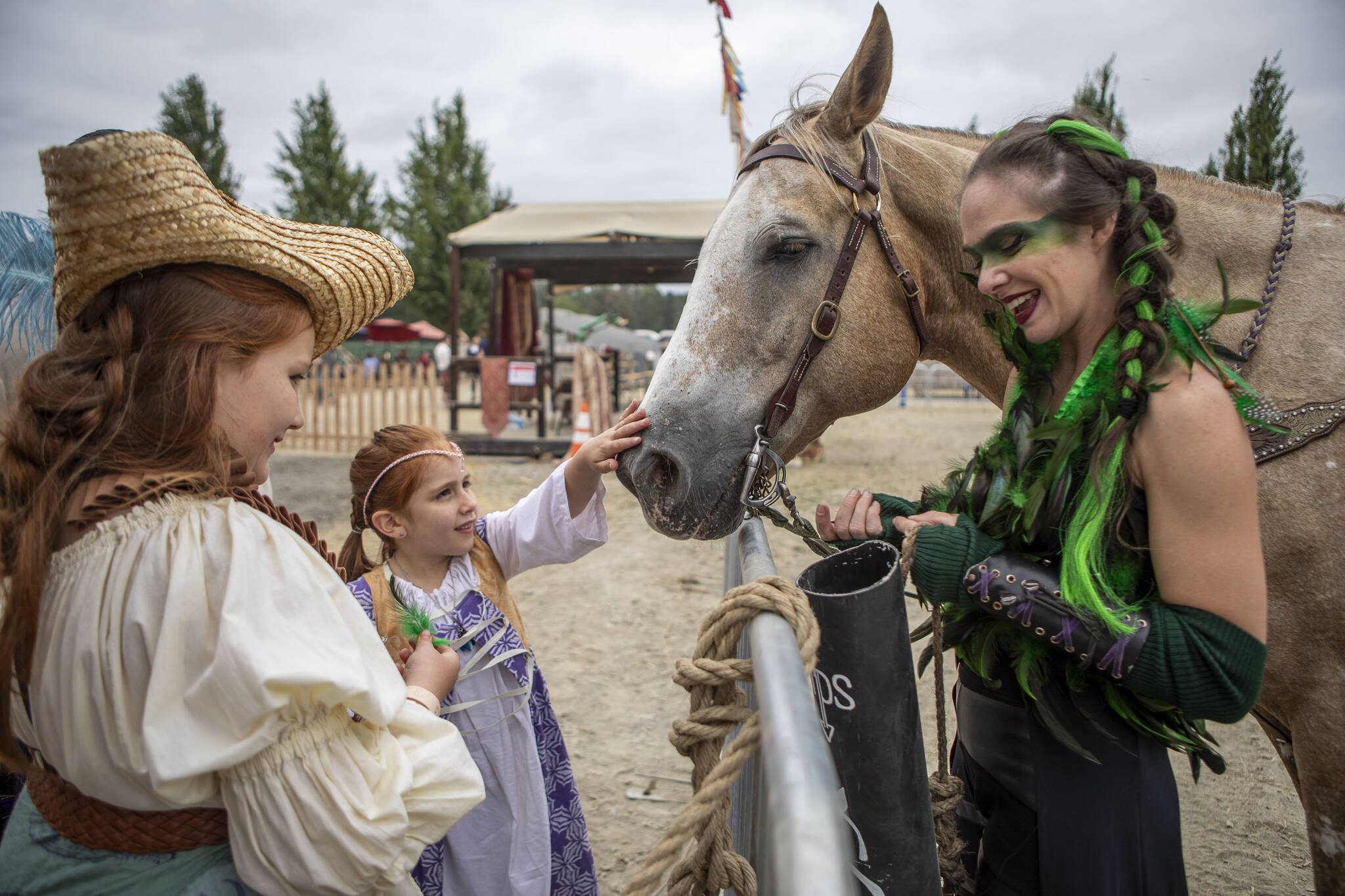 Attendees gather to meet a horse at the Washington Midsummer Renaissance Faire in Snohomish, Washington on Sunday, July 28, 2024.  (Annie Barker / The Herald)