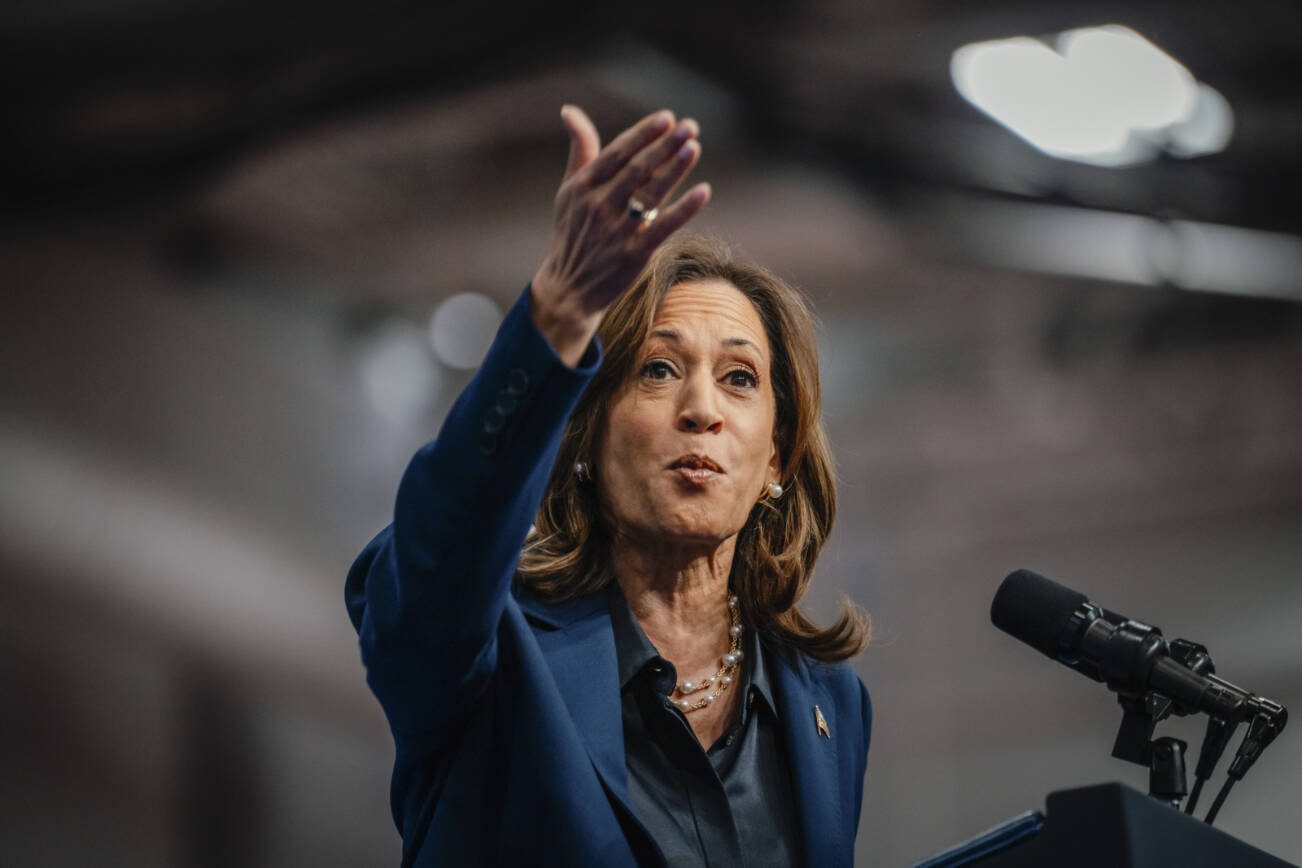 Vice President Kamala Harris, the Democratic presidential nominee, speaks during a campaign rally in La Crosse, Wis., on Thursday, Oct. 17, 2024. At the rally, Harris slammed Donald Trump and said Americans were “exhausted with his gaslighting. Enough. We are ready to turn the page.” (Jamie Kelter Davis/The New York Times)