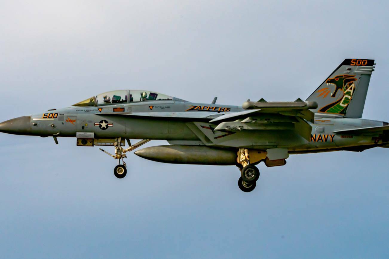 A Growler with VAQ-130 Zappers flies near Outlying Landing Field Coupeville. (Joe Kunzler / Simple Flying)