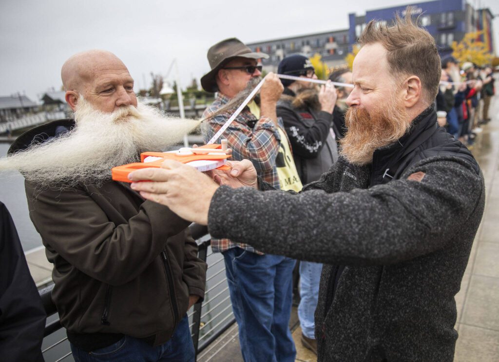 Bryan Nelson passes along a measuring tape for an official measurement during the Guinness World Record Beard Chain Attempt on Friday, Nov. 1, 2024 in Everett, Washington. (Olivia Vanni / The Herald)
