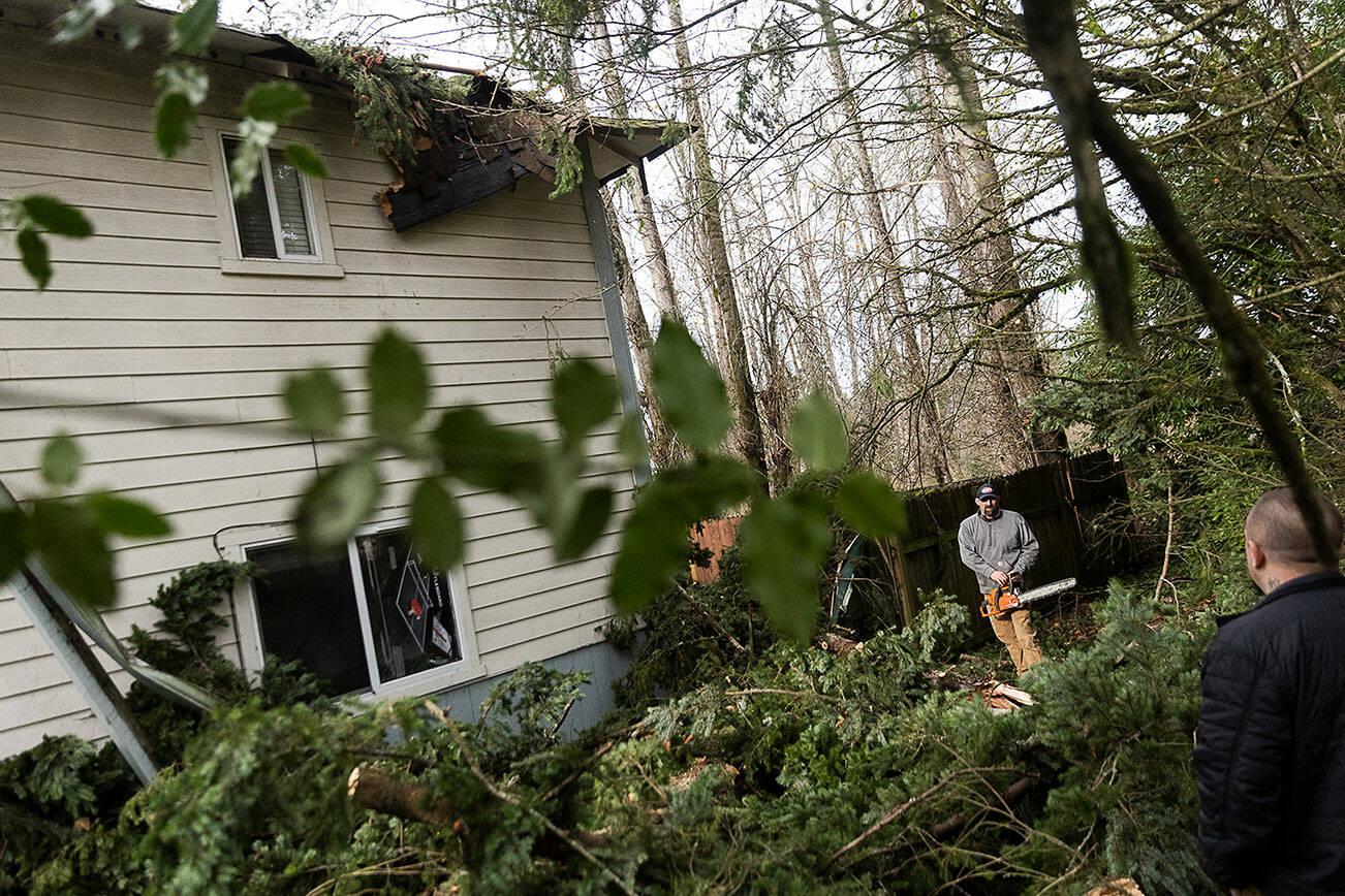 Scott Peterson works to clear a tree that fell on the roof of a Shawn Hawes' apartment unit on Wednesday, Nov. 20, 2024 in Lake Stevens, Washington. (Olivia Vanni / The Herald)