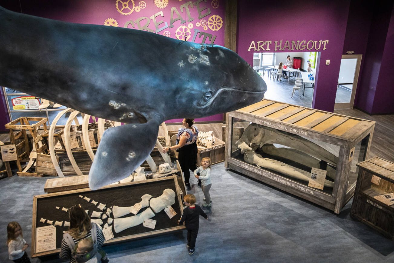 Children play and look up at a large whale figure hanging from the ceiling at the Imagine Children’s Museum on Wednesday, Oct. 26, 2022 in Everett, Washington. (Olivia Vanni / The Herald)