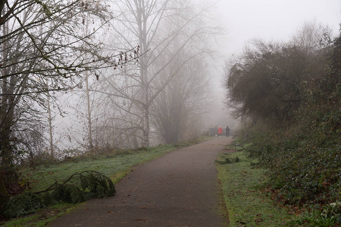 Two people walk a dog along the Snohomish River on Monday, Dec. 2 in Snohomish, Washington. A regional trail, set to be constructed nearby, will connect Snohomish and Everett. (Will Geschke / The Herald)