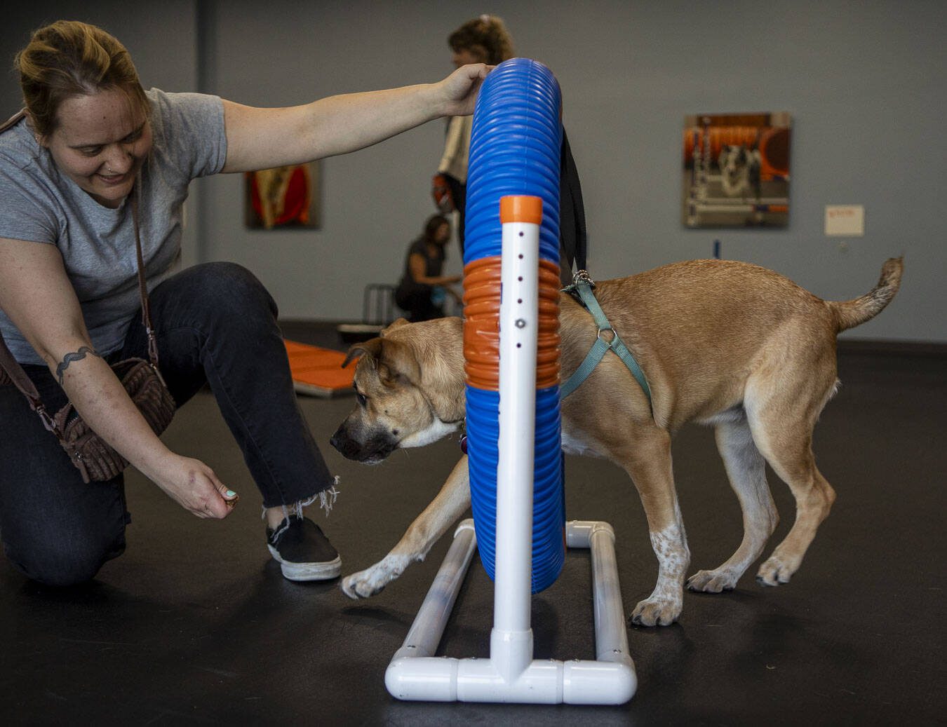 Kornelia Cesarz practices commands with Zara during a puppy training class at the Everett Zoom Room in Everett, Washington on Wednesday, July 3, 2024. (Annie Barker / The Herald)