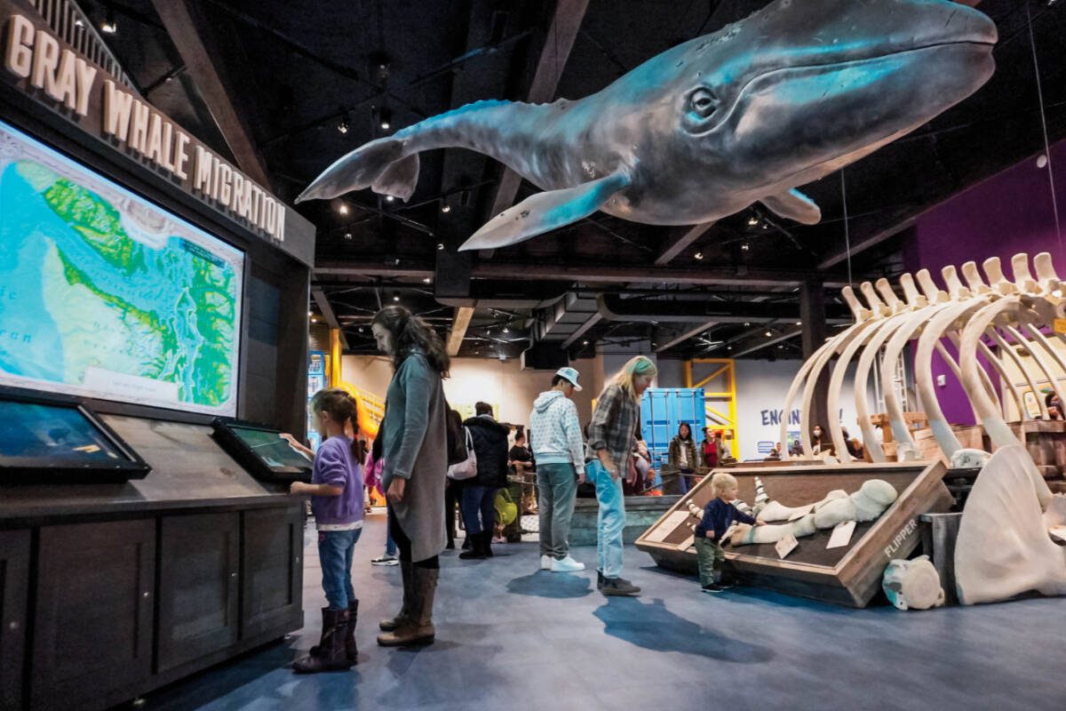 Walk through the skeleton of a real gray whale and learn all about the marine life that call the Puget Sound home in the Puget Sound Ecosystem exhibit.