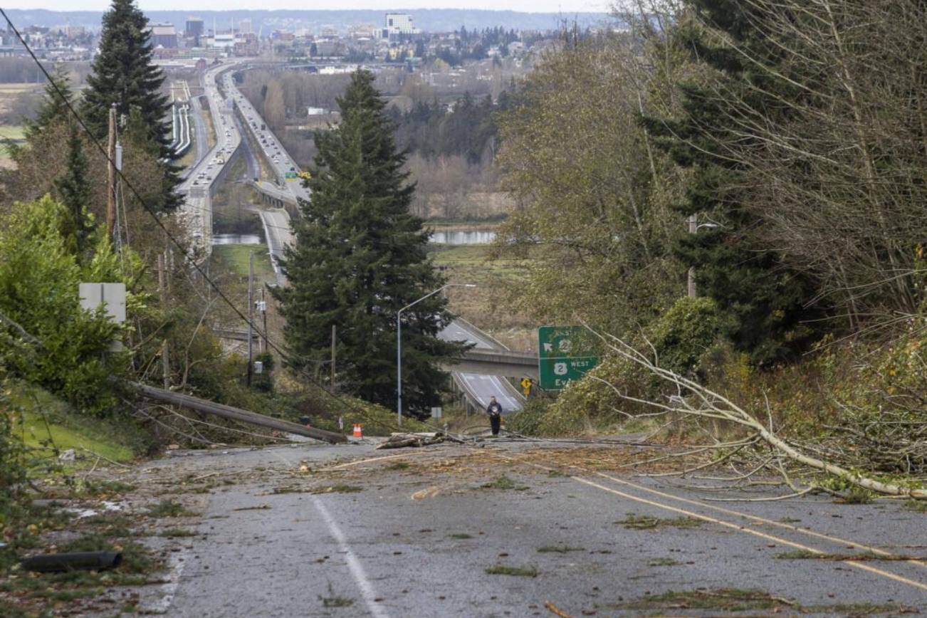 A person walks up 20th Street Southeast to look at the damage that closed the road on Wednesday, Nov. 20, 2024 in Lake Stevens, Washington. (Olivia Vanni / The Herald)