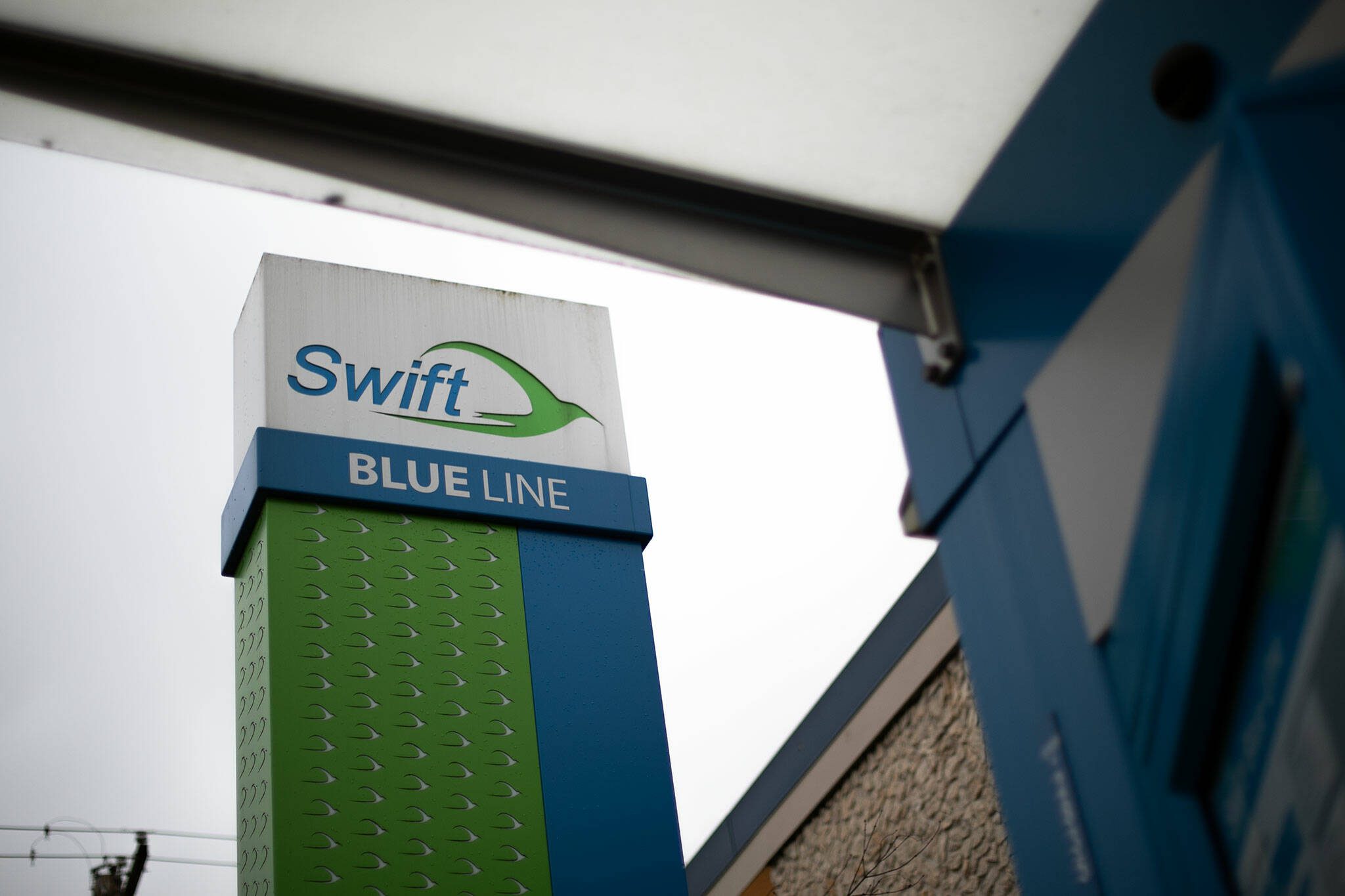 The northbound Swift Blue Line stop on Pacific Avenue is photographed Jan. 11 in Everett. (Ryan Berry / Herald file)